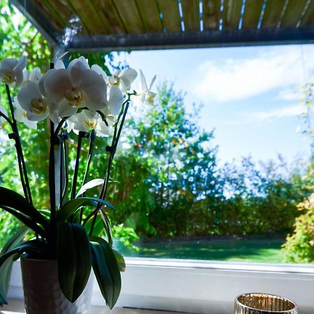 Nice Flat With Sauna Covered Terrace Garden And Tree House For Children Zandt ภายนอก รูปภาพ